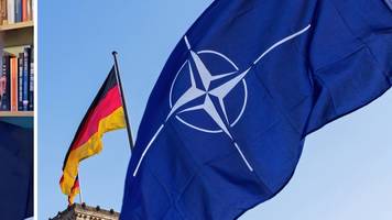 trumps nato-drohung zeigt, wie verzweifelt die usa sind