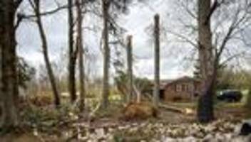 Fotografie: Bilder des Tages