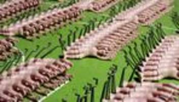 toxische maskulinität: sind männer wirklich so toxisch?