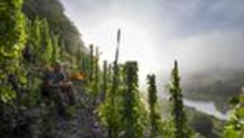 rheinland-pfalz: was bewegt die menschen in rheinland-pfalz?