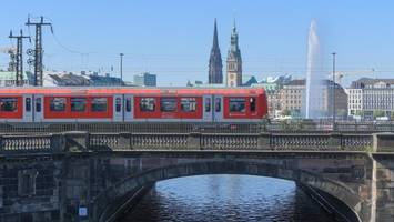 forsythienexperte entsetzt: bahn lässt frühlingsboten an der alster fällen