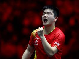 tischtennis: einer für timo bolls fußstapfen