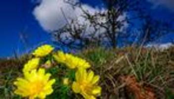 Wetter: In Berlin und Brandenburg wird es wieder wärmer