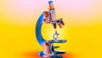 Krise in der Wissenschaft: Beste Feinde