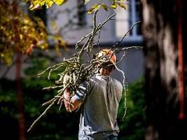 Haushaltsnahe Dienstleistungen: Mit Gartenpflege vom Profi bis zu 4000 Euro pro Jahr sparen