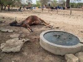 hinweise auf extrem heißen sommer: droht ein besonders starker super-el-niño?