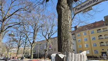 In welchem Wohnviertel an der Schloßstraße Raser demnächst ausgebremst werden