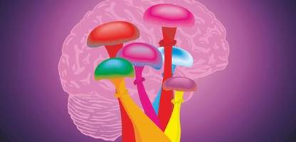 psilocybin: der wirkstoff in »magic mushrooms« kann gegen schwere depressionen wirken