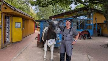 geht in diesem einzigartigen kinderbauernhof bald das licht aus?