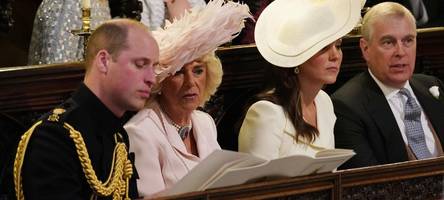 eisige reaktion von william und kate – andrew soll um vergebung gebeten haben