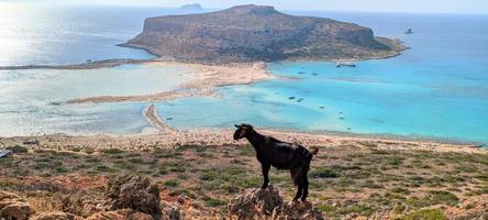 Kreta, Rhodos und Co.: Wird jetzt Griechenland als Urlaubsziel zu teuer?