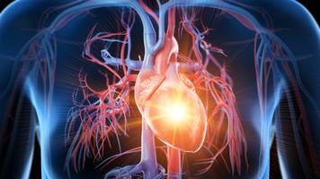 kardiologe mit 20 jahren erfahrung nennt 7 dinge, „die ich nach 19 uhr niemals tue“