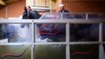 Aufbautraining für Pferde: Schonende Therapie für Pferde: Solarium und Aquatraining