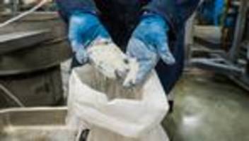 elektroautos: die wunderbatterie gibt es längst