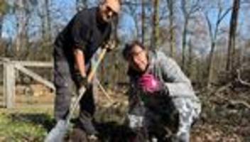 internationaler tag des waldes: mit dem spaten für die zukunft: neue bäume braucht der wald