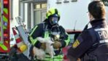 Schwetzingen: Feuerwehr rettet Katze aus verrauchter Wohnung
