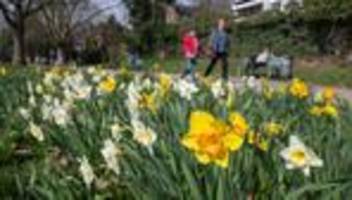 Wetteraussichten: Ein warmer Tag für Rheinland-Pfalz und das Saarland