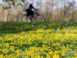 bis zu 16 grad am wochenende: auf milden frühlingsauftakt könnte winter-comeback folgen
