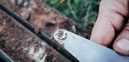 Massengrab in Erfurt: Wie es Forschern gelang, 12000 Pesttote aufzuspüren