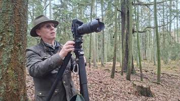 eine entdeckungsreise durch den sachenswald – unterwegs mit einem baum-blogger