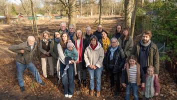 kahlschlag auf hamburger waldgrundstück entsetzt anwohner – „sind fassungslos“