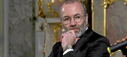 evp-chef manfred weber: afd ist „absolut toxische partei“