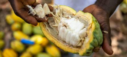 das sind die verlierer der sinkenden schokoladenpreise