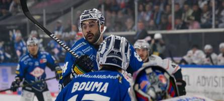 Kehrt ein alter Bekannter zu den Panthern zurück?