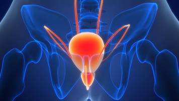 blut im urin: ursachen, krankheiten und vorbeugung