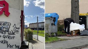 mannheim: so kämpft das problem-viertel, das (noch) afd wählt