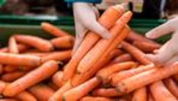 Agrar: Mehr Möhren aus Sachsen-Anhalt