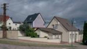 demokratieförderprogramm: gelegenheit, den sumpf auszutrocknen