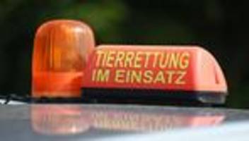 Kriminalität: Private Tierhaltung wegen Tierschutzverstößen aufgelöst