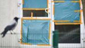 Rechte Gewalt: Verein: Höchstwert rechter Straftaten in Brandenburg