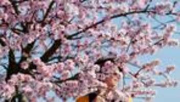 rheinland-pfalz und saarland: bis zu 18 grad erwartet - frühlingswetter am wochenende