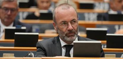 evp-chef manfred weber wird zur belastung für schwarz-rote koalition