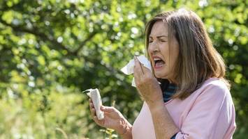 hyposensibilisierung im alter? arzt erklärt, wem er die behandlung empfiehlt