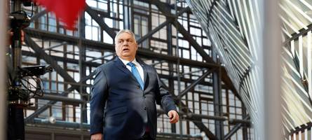 „akt grober illoyalität“: der zorn des kanzlers auf orbán wächst