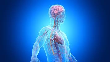 nervenschmerzen: ursachen, symptome und krankheiten