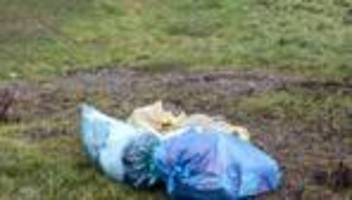 abfall: mehr als 500 freiwillige sammeln müll entlang der saale