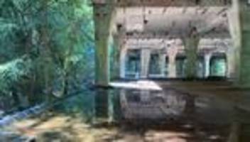 böhmisches erzgebirge: die haben nicht nur möbel mitgenommen