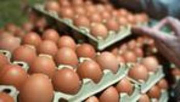 eier: verband warnt vor zu wenig eiern zu ostern