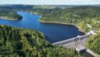 Tag des Waldes: Forstminister: Gesunde Wälder sichern Jobs und Klimaschutz