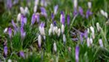 Wetter: Frühlingshafter Ferienstart in Niedersachsen und Bremen