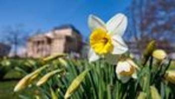 Wetter: Sonniger Sonntag lockt mit frühlingshaften Temperaturen