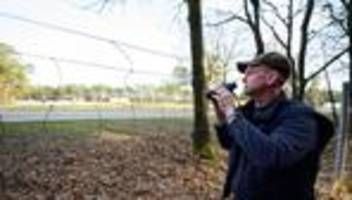 Wildwechsel: Tierische Attraktion an A7: Hunderte Anrufer wegen Hirsch