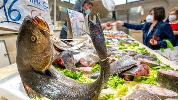 wegen hepatitis-a: neapel verbietet verzehr roher meeresfrüchte