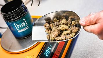 Medizinal-Cannabis soll strenger reguliert werden – stärkt das den Schwarzmarkt?