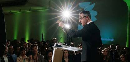 linke: wie die partei lernte, den misserfolg zu lieben