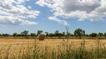 Mann will auf Mallorca 8 Quadratmeter-Schuppen auf Acker für 695 Euro pro Monat vermieten